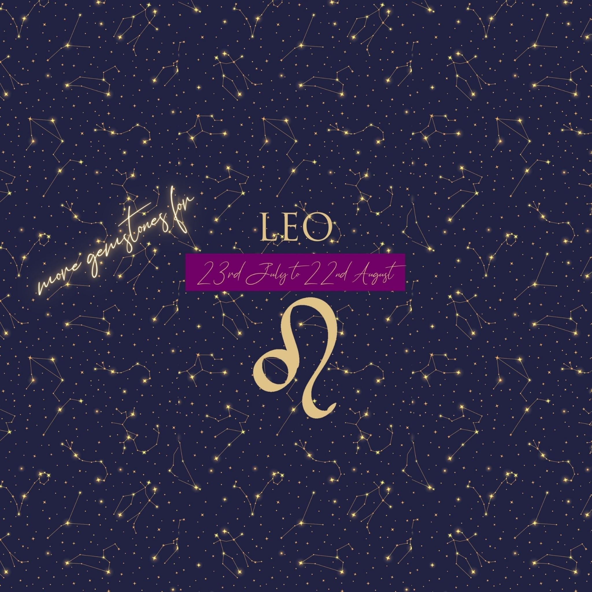 Leo Spotlight